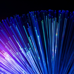 SQL Nedir? Avantajları Nelerdir?